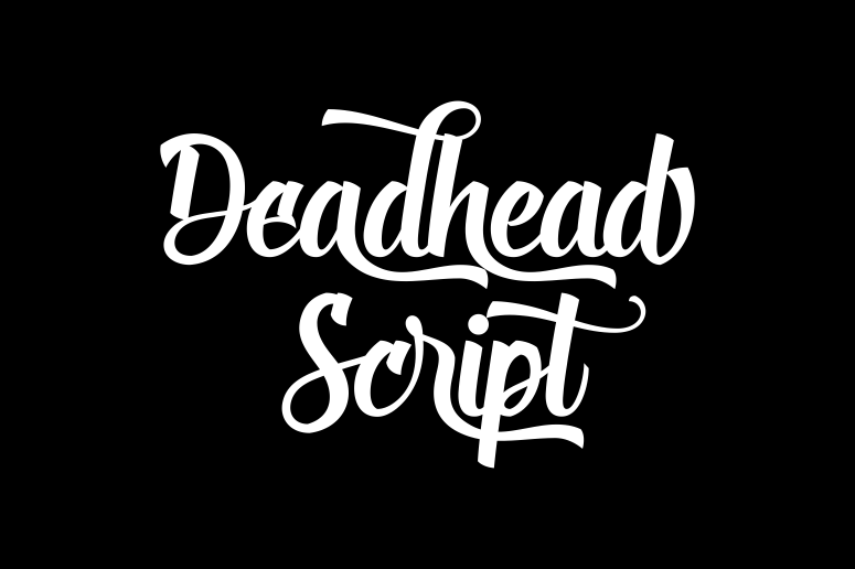Deadhead Script Font | Free Font Download | Download Thousands of Fonts for Free Sample Image