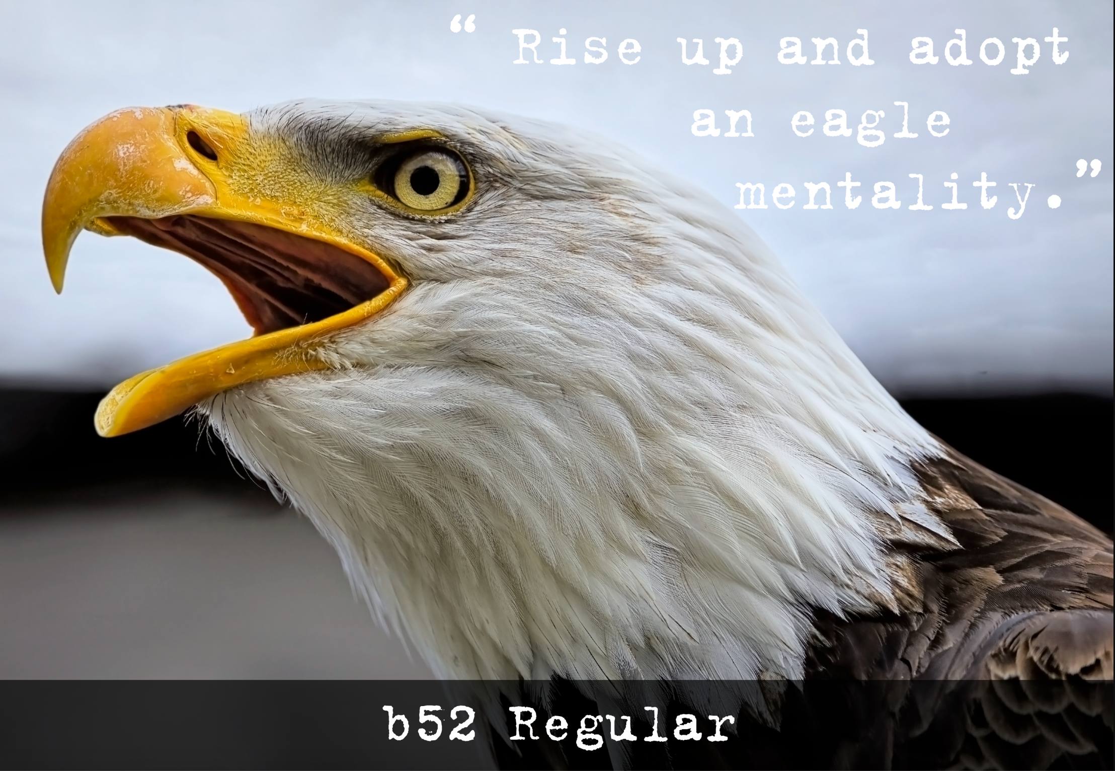 B52 Fuente | Descarga gratuita de fuentes | Descarga miles de fuentes gratis Sample Image