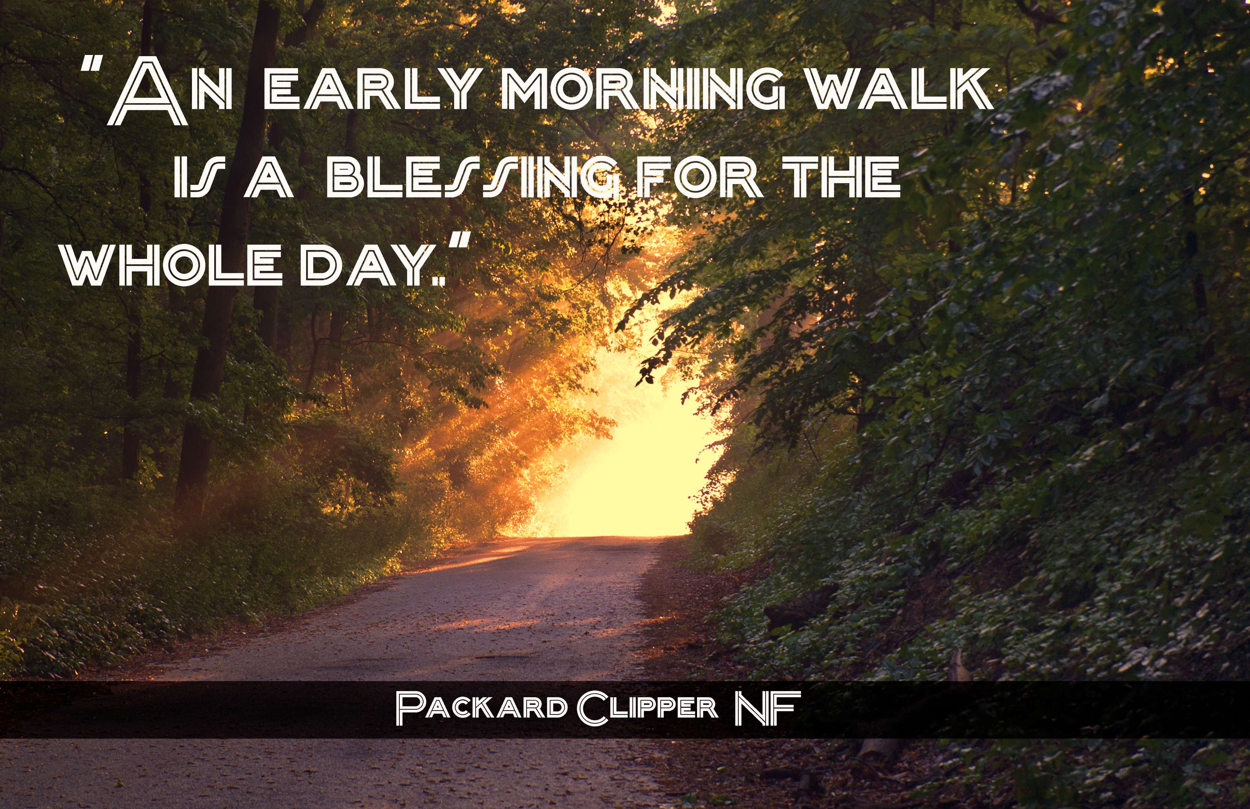 Packard Clipper NF Font | Free Font Download | Download Thousands of Fonts for Free Sample Image