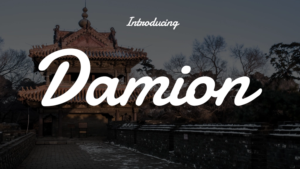 Damion Regular Font | Free Font Download | Download Thousands of Fonts for Free Sample Image