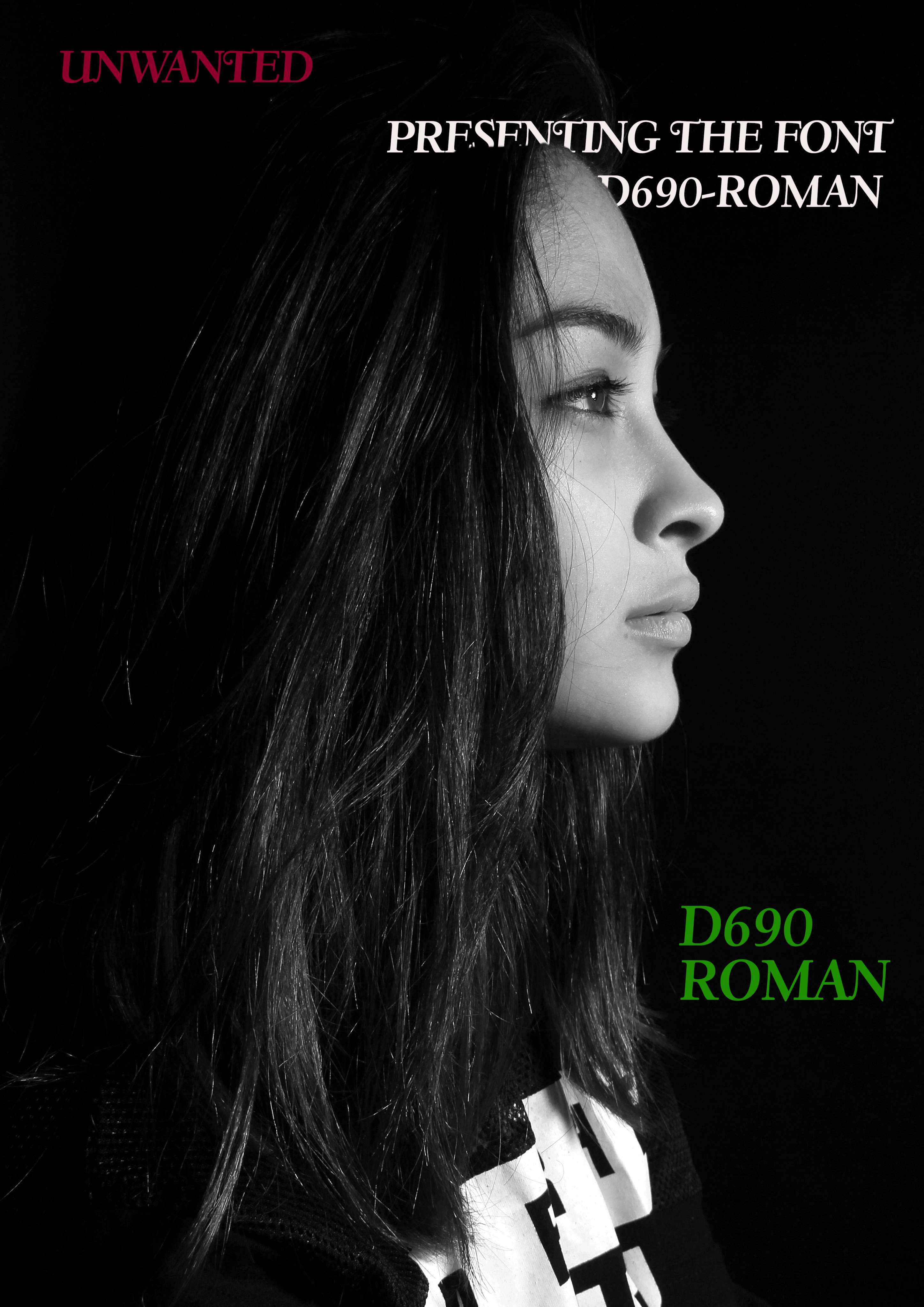 D690 Roman Italic Font | Free Font Download | Download Thousands of Fonts for Free Sample Image