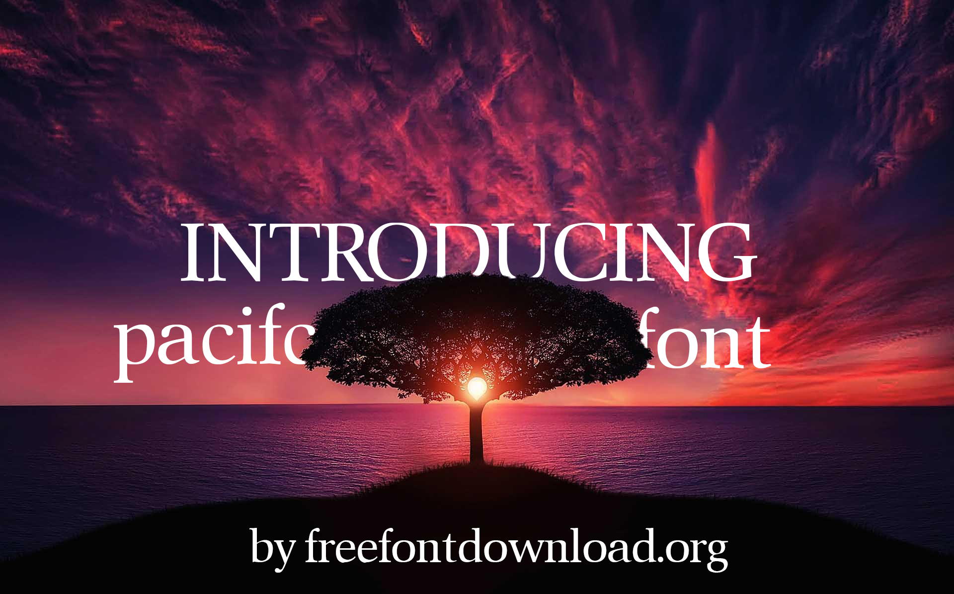 Pacific Font | Free Font Download | Download Thousands of Fonts for Free Sample Image